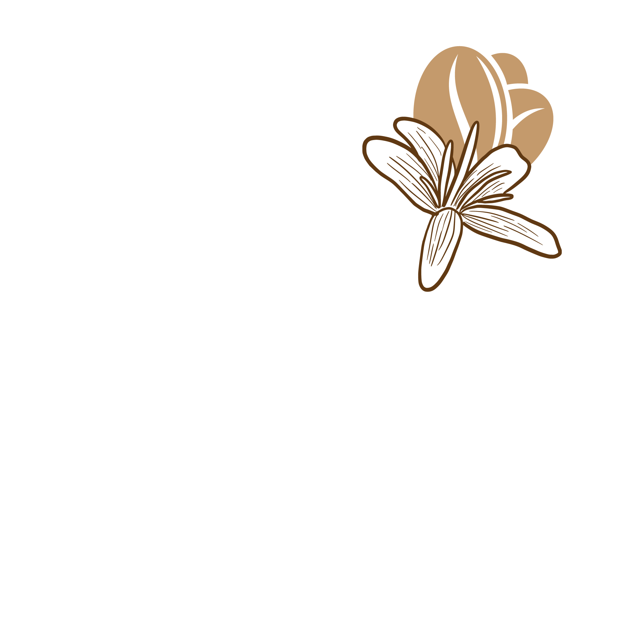 Flor de Café